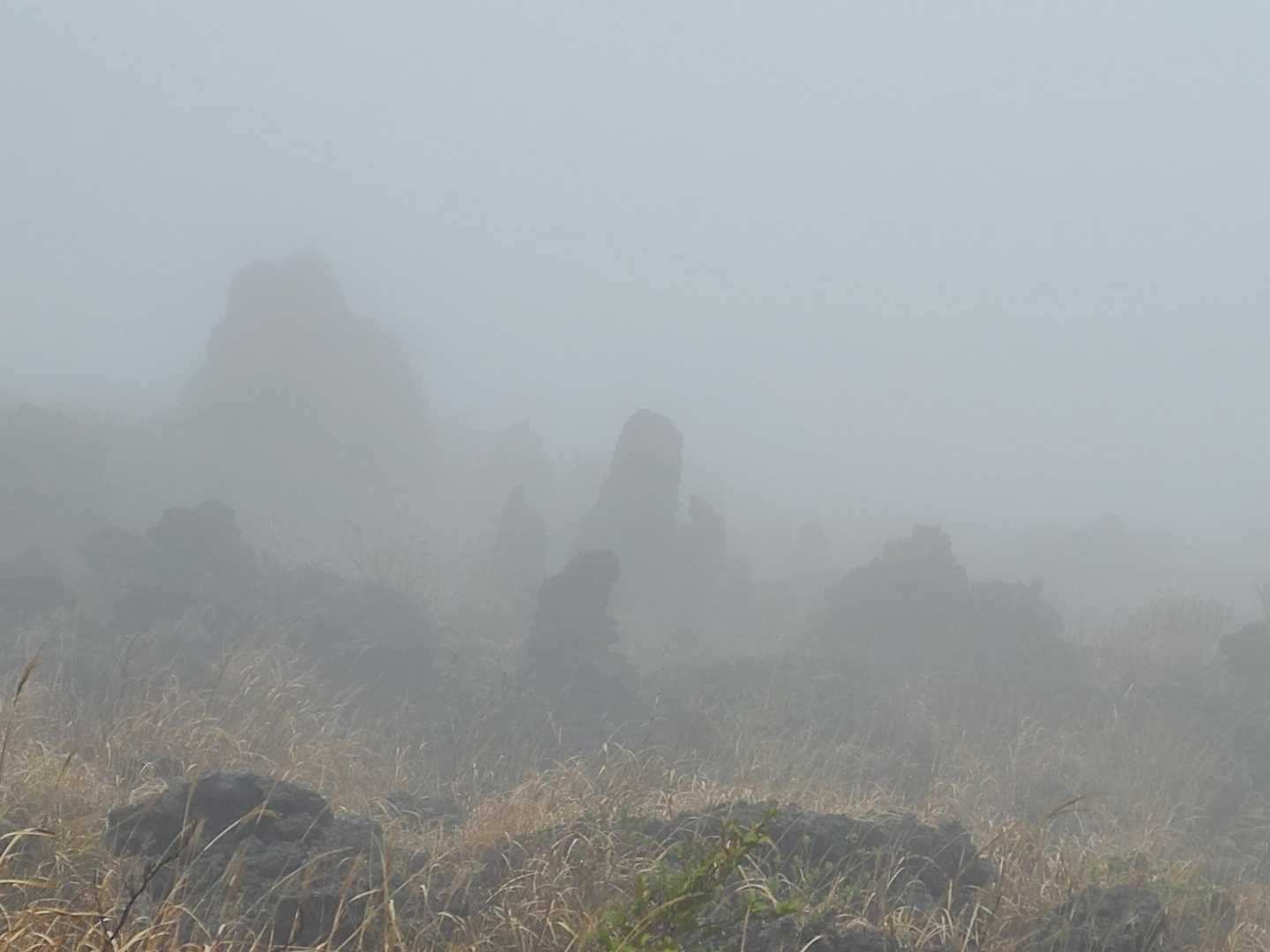 三原山頂口バス停-剣ガ峰-温泉コース登山口
 縦走コースの写真