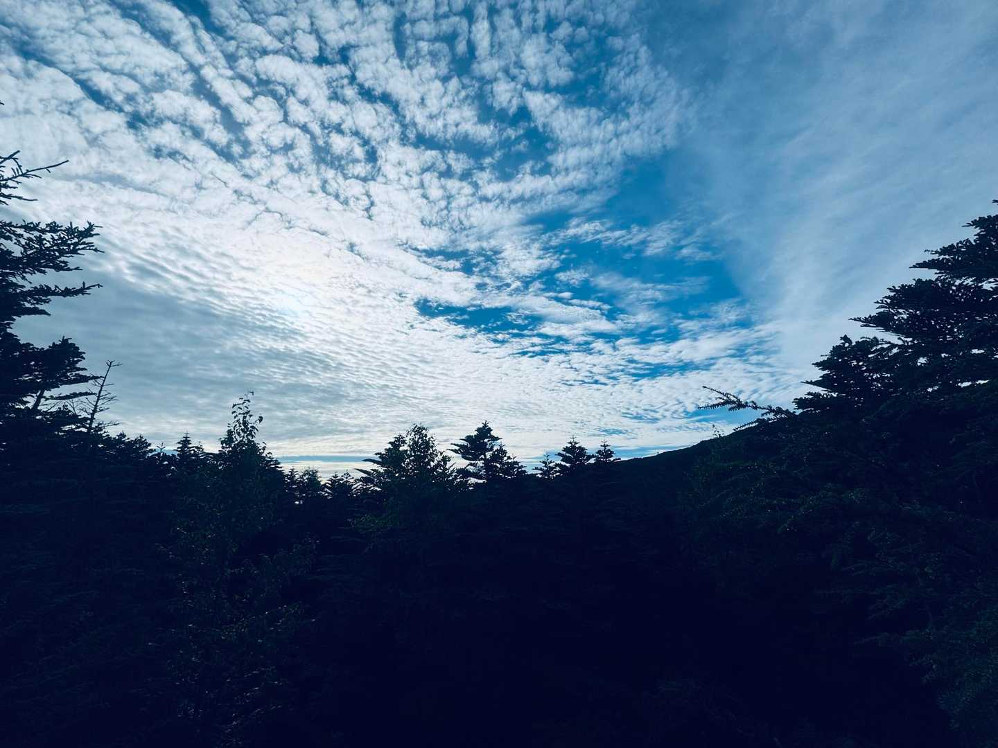 美しい北八ヶ岳の池、森、岩。ご褒美は揚げパンとかぼちゃプリンの写真