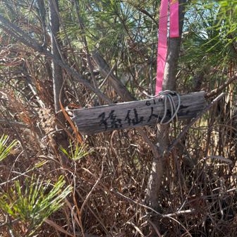 孫仙人ヶ岳山頂