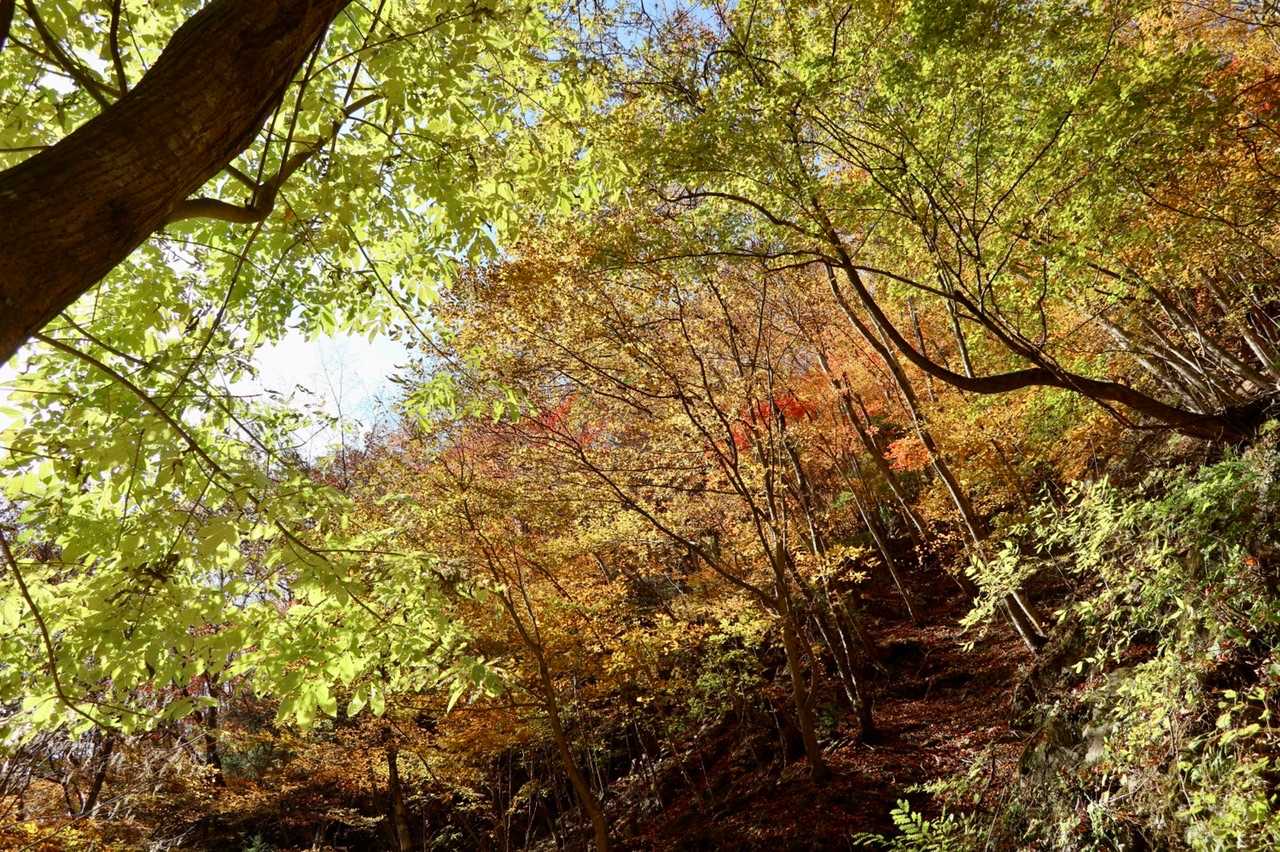 南天山登山口-南天山 往復コースの写真