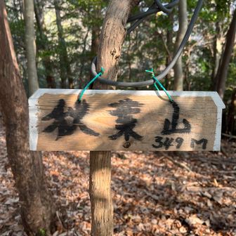 秋葉山。
ここも眺望はほぼ無し。