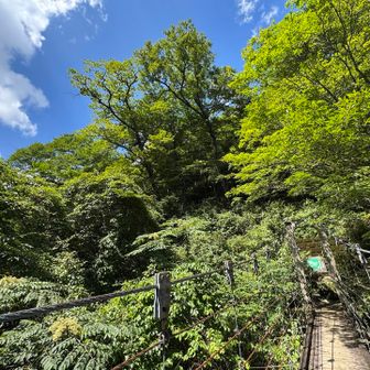 この橋を渡ると