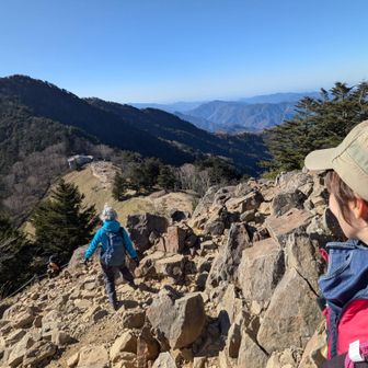 後ろ姿が楽しそう🤭