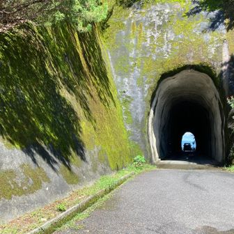 帰ってきました