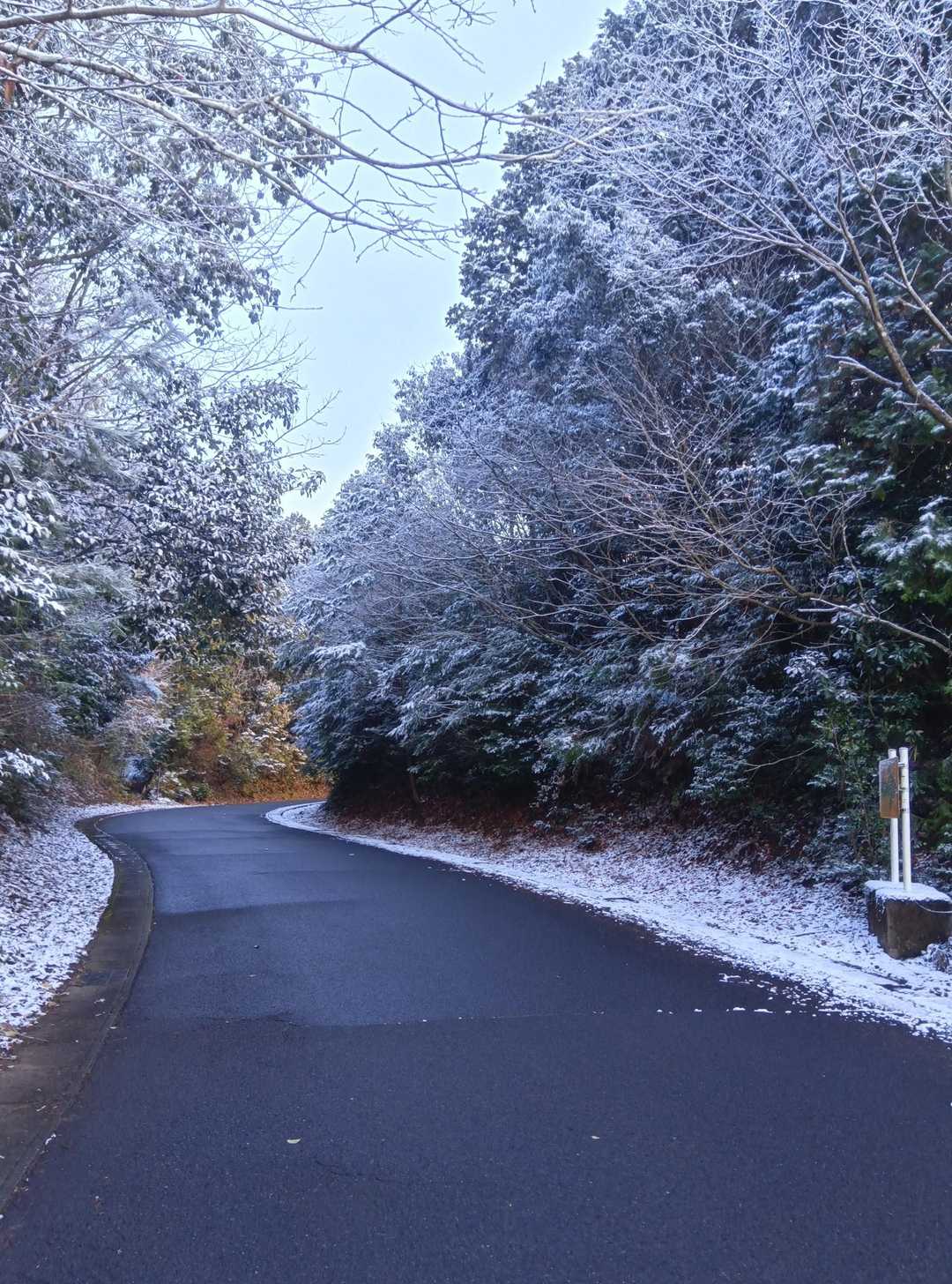 米田白山 周回コースの写真