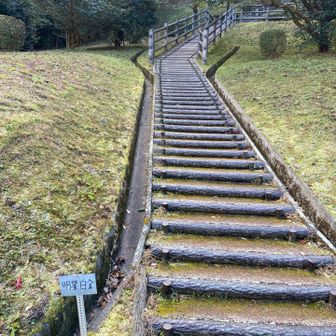 まずはここを登る