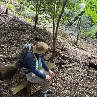 もうバテバテ💦
夫よ、こんなんで来週🗻大丈夫かーい？