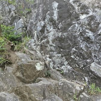 鎖場あるけどここだけ
難しくないです
一応補助的に使う感じで