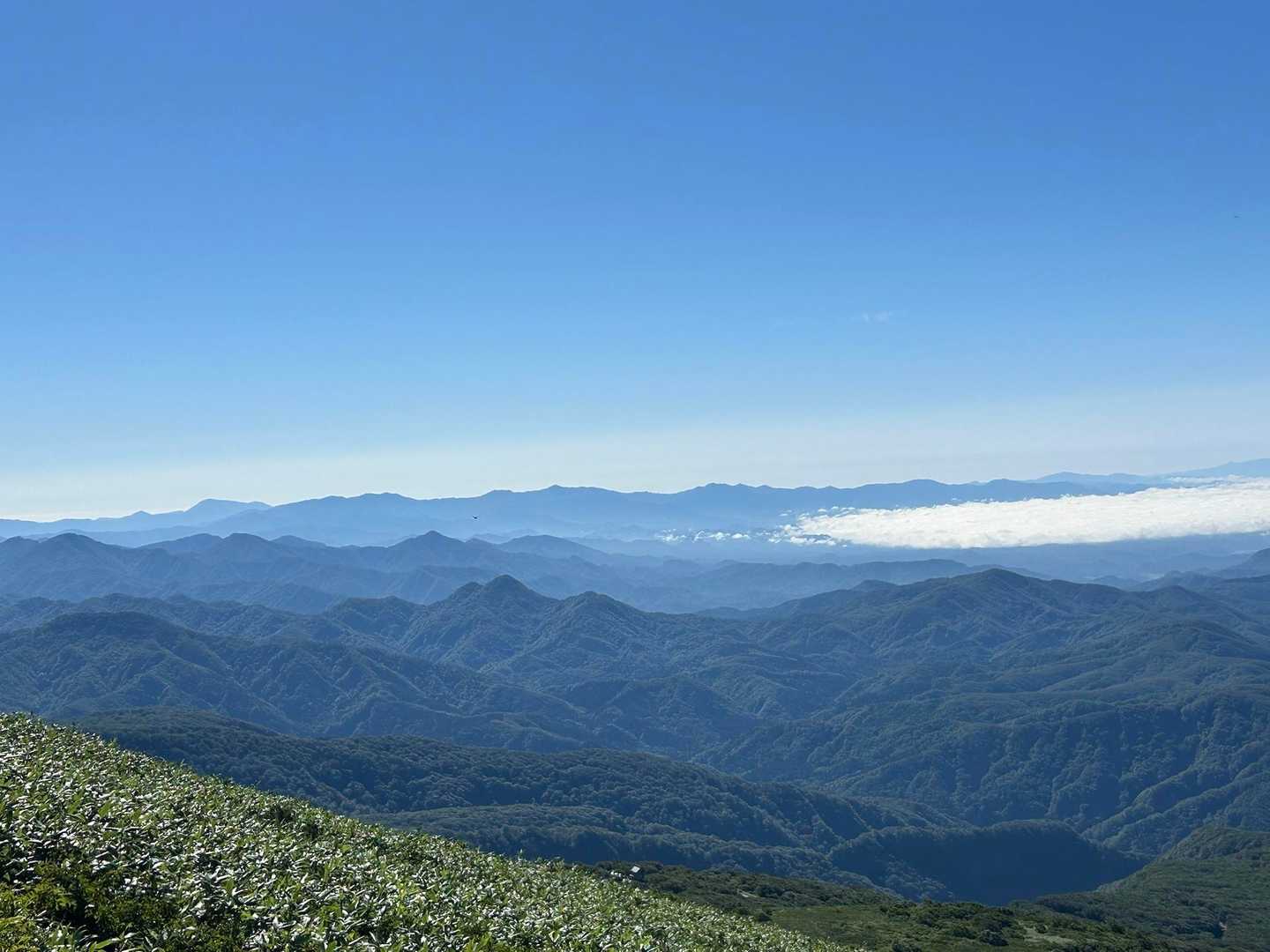 山並みのグラデーションが素敵