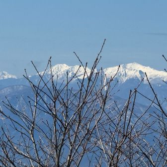 昨日の水窪からだと西側から、今日は北側から聖岳、悪沢岳が眺められました