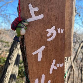 3座目 上谷戸山 473m🐸
♡♡になってます