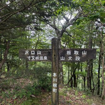気がついたら天水に1時間過ごしてました🙂
名残惜しいけど下山します