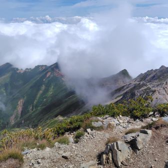 五竜山荘が小さく見える。