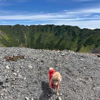 そろそろ真狩に下山しましょう🐶