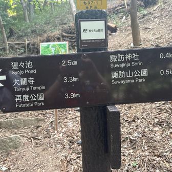 という事で、引き返さずに、猩々池から、新神戸に向かって歩く事にした

