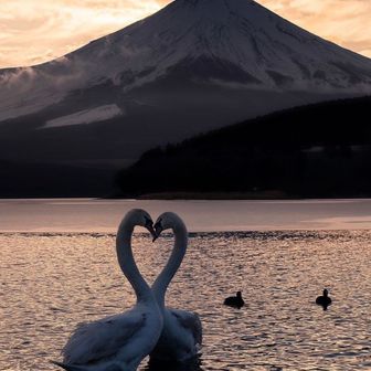 山歩きついて行ってもいいですか