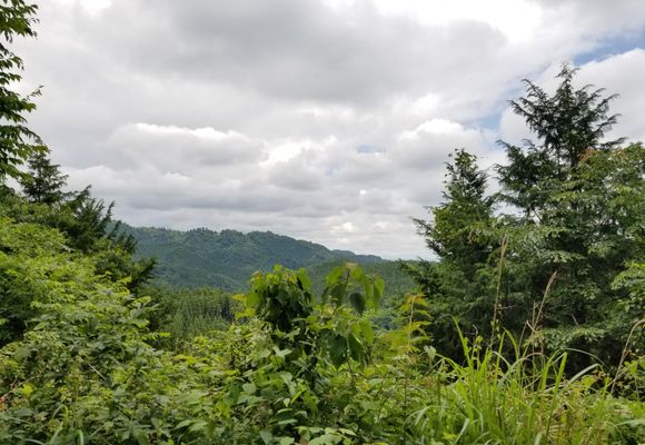 草戸山（東京・神奈川・364m）| 登山ルート・天気 | YAMAP / ヤマップ