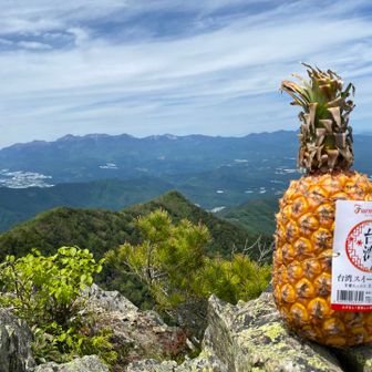八ヶ岳とパイナップル🍍
