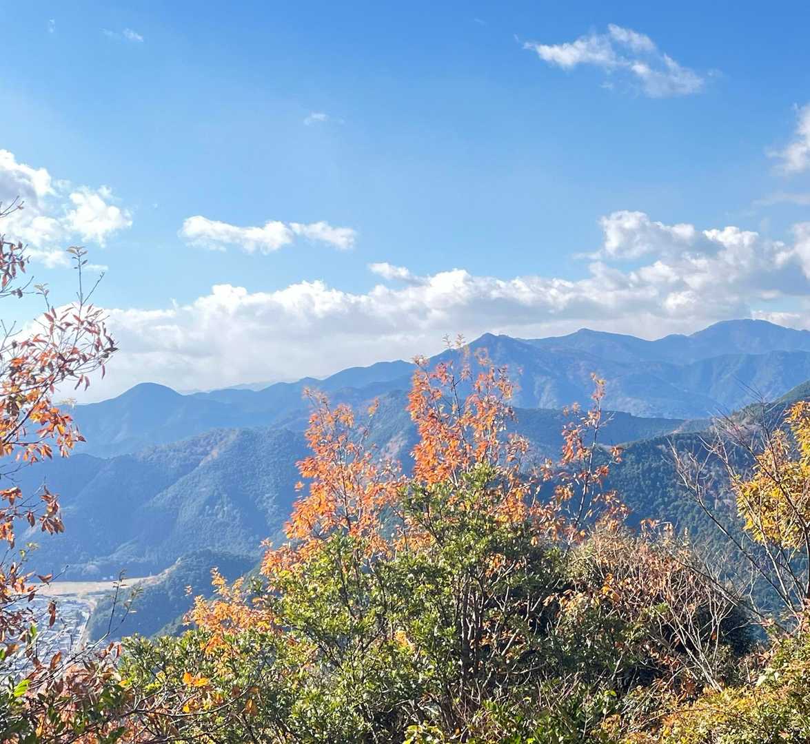 下山中分岐までは時々素敵な眺望あり。あとはひたすら山ん中歩いて下ります。