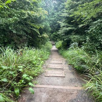 まだまだ進む🚶