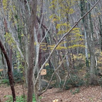 ちょっと寂しさすら感じる山の景色
たくさん楽しませてくれてありがとうね😊
また来るね