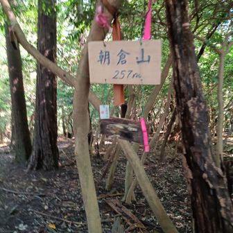 この辺りで大きな鹿🦌が凄い勢いで近くを走っていった😵馬のように
