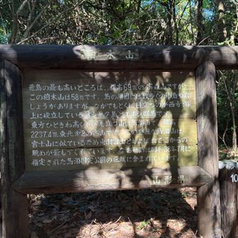 なんと⁉️

柏木山より高森山の方が

11メートル高い‼️

気を取り直して