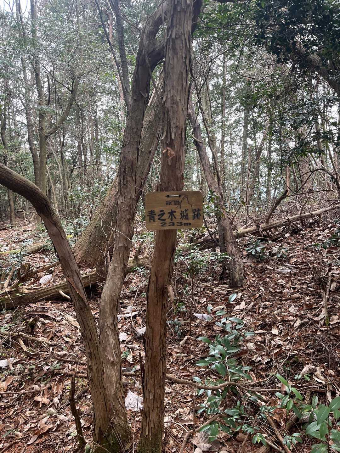 青之木城跡
