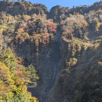 ハンノキ滝は500mで称名滝よりも高いですが日本一ではない‼️
理由は言わなくても分かるよね😏