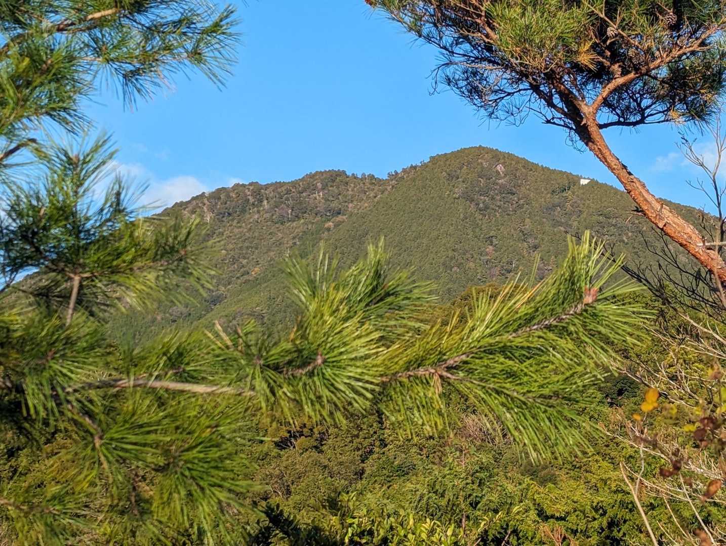 便石山見えた