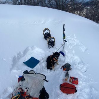 今日はゆめきちが調理担当