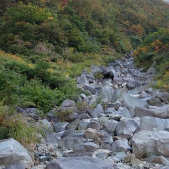 登山道と違い、ルートファインディングに気をつけたり、岩を踏み越えるのに体力がいります。