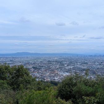 夫婦岩園地？の展望所。