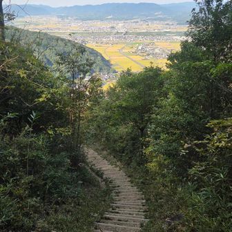 えんやこらーささんお気に入りの風景

階段を降りていると、roomさんや職場の先輩のHさんにお会いして、近況山報告。

今朝も楽しきアサカツでした