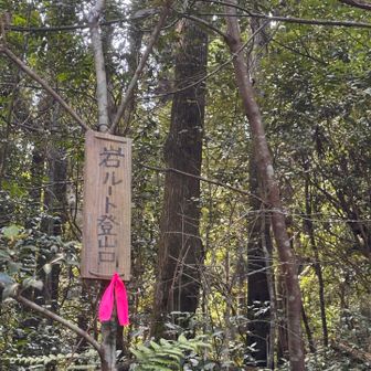 岩ルート　わくわく
