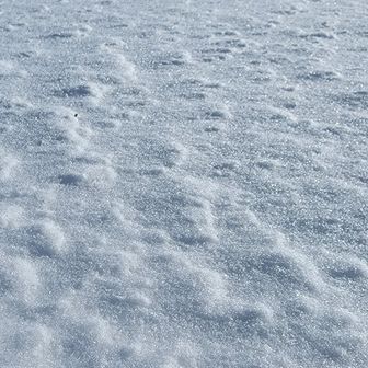 シュカブラと言って良いのでしょうか？