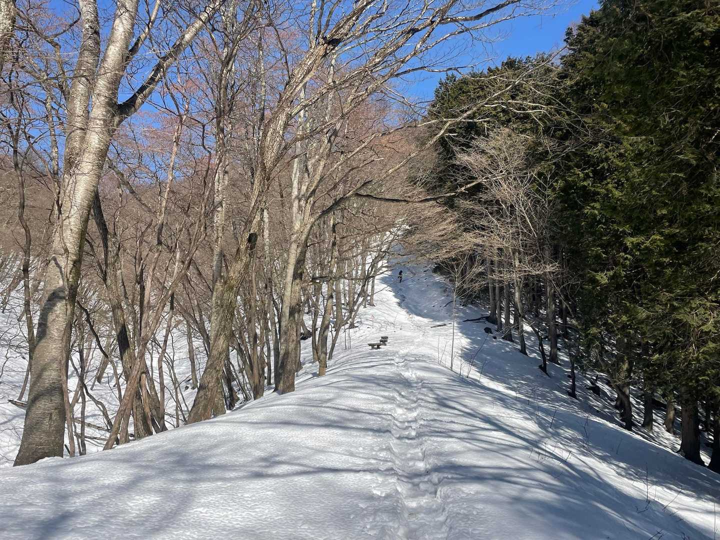 普通に積もってます。調べもしなかった…愚か。