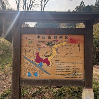 登山口案内図スタート✊