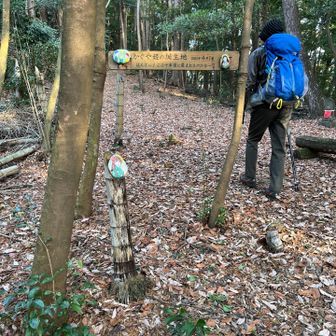 かぐや姫誕生日の地？