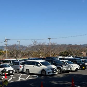 帰って来たら駐車場はほぼ満車になっていました🥲