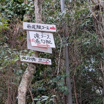 大刀洗コースへ下る