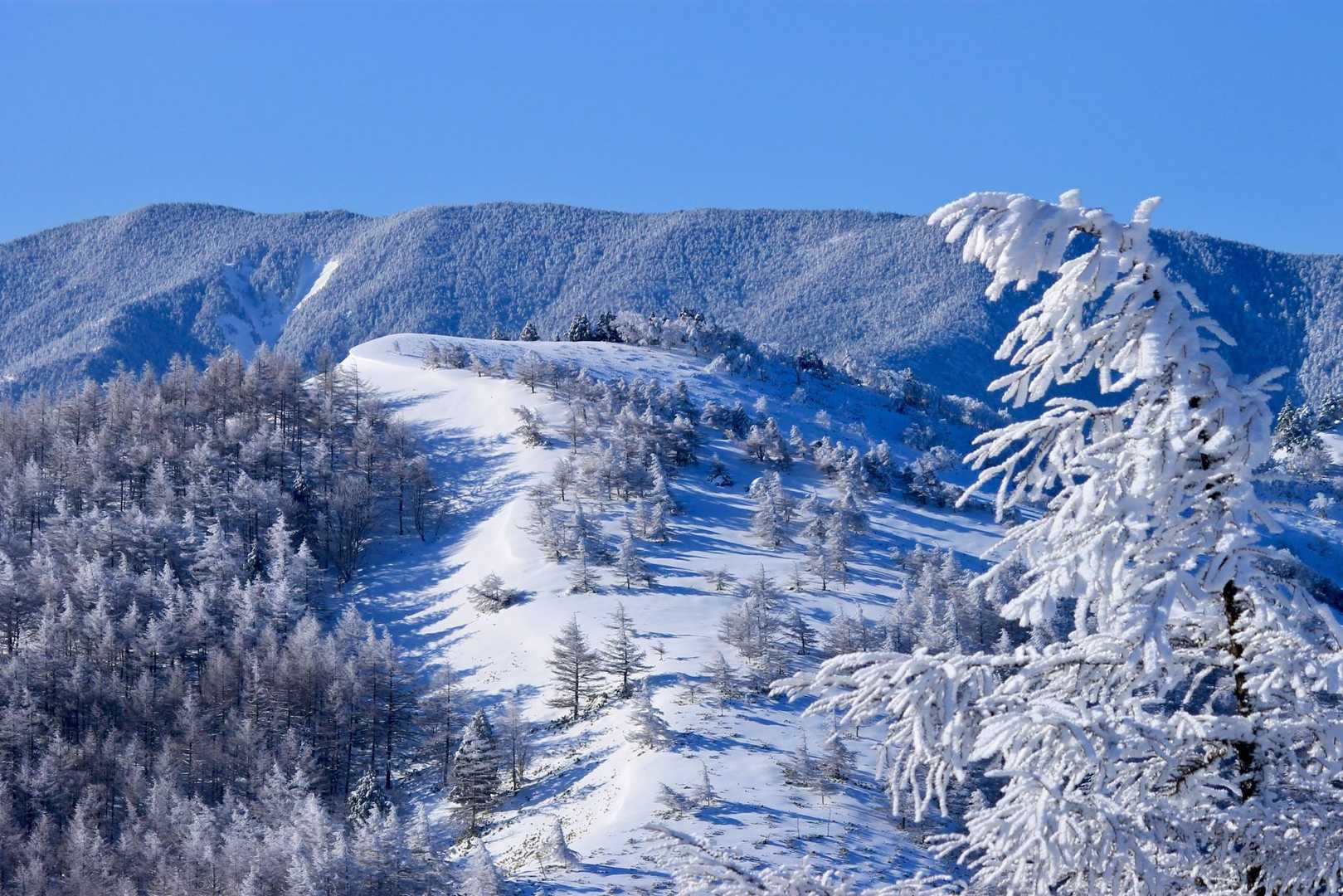 美しい景色に目を奪わてしまいます🤍💙
最高過ぎる😍

横川山までは行きたいけど、完全ラッセルですなぁ～💦