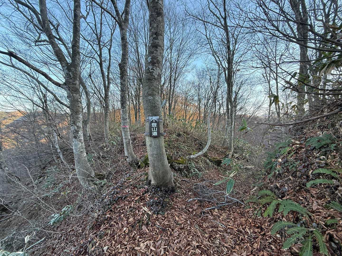 「⬆️
  登
  山
  道」
この看板がなかったら、きっと右手の沢の方に降りて迷っていたでしょう