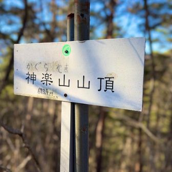 そんなこんなで最初の一座に到着。
ここまでにすでに熊の痕跡が🐻