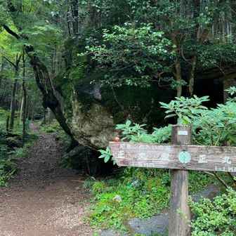 上り口と合流。下山して来た道。