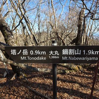 大丸山頂標識（兼案内板）