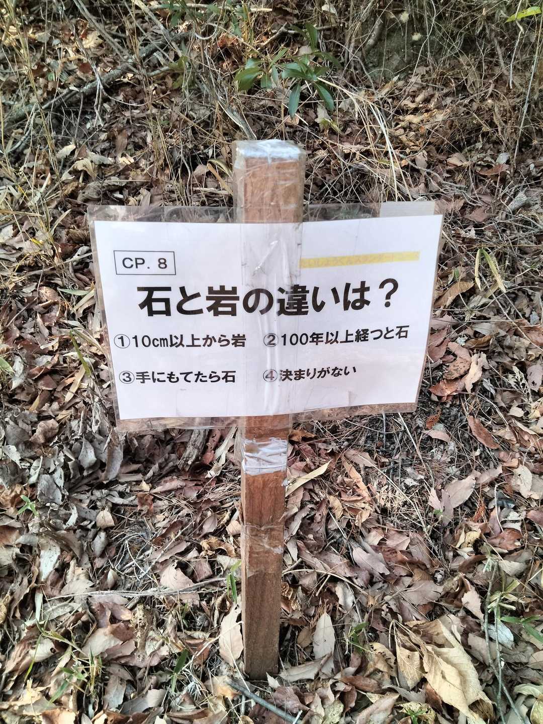分かりません…
