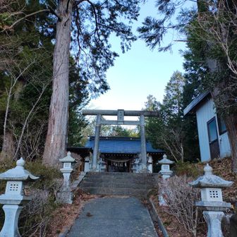 大神社鳥居の脇には立派な御神木