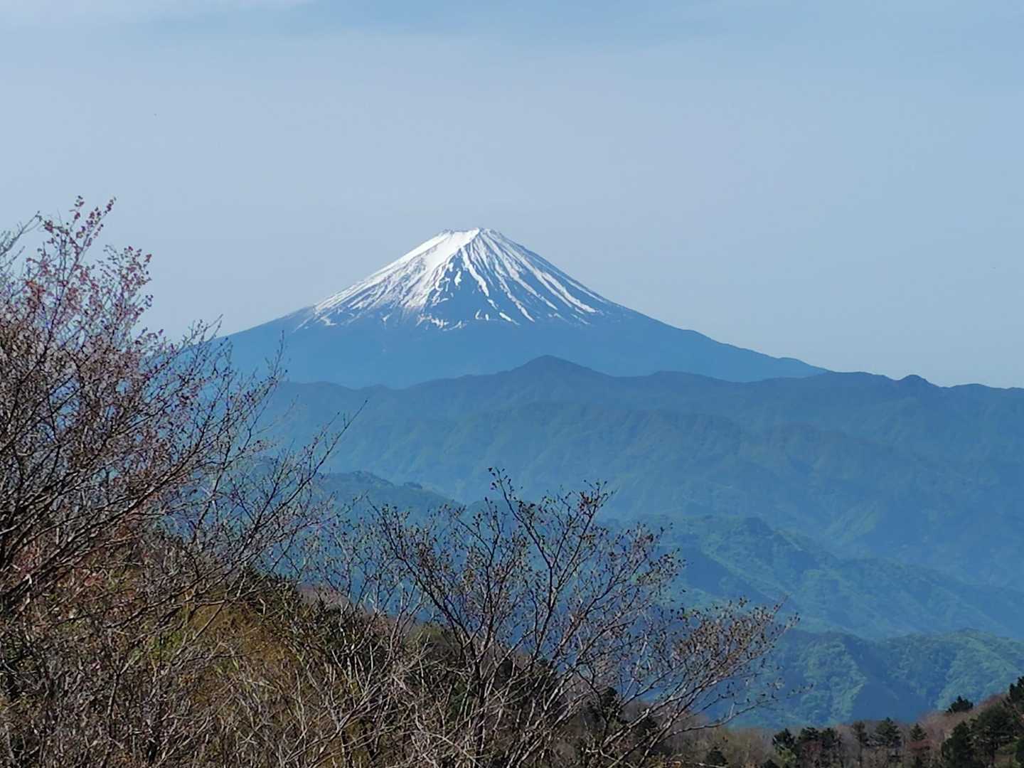 柳沢峠-鈴庫山-ハンゼノ頭-藤谷ノ頭 周回コースの写真