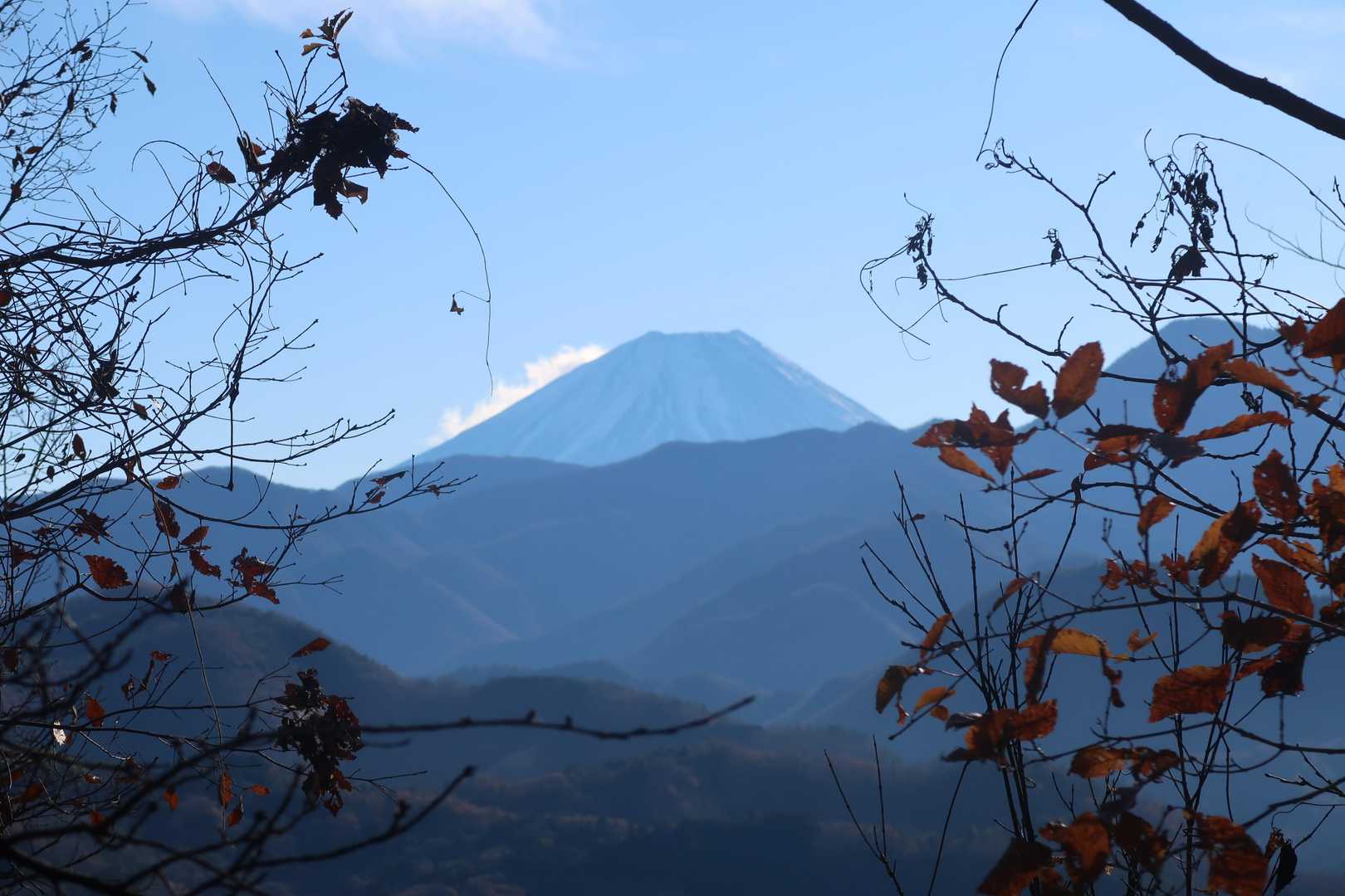 富士山
